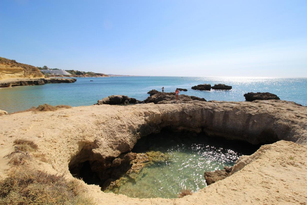 Magnifique Appartement Sur La Plage ... 阿尔布费拉 外观 照片