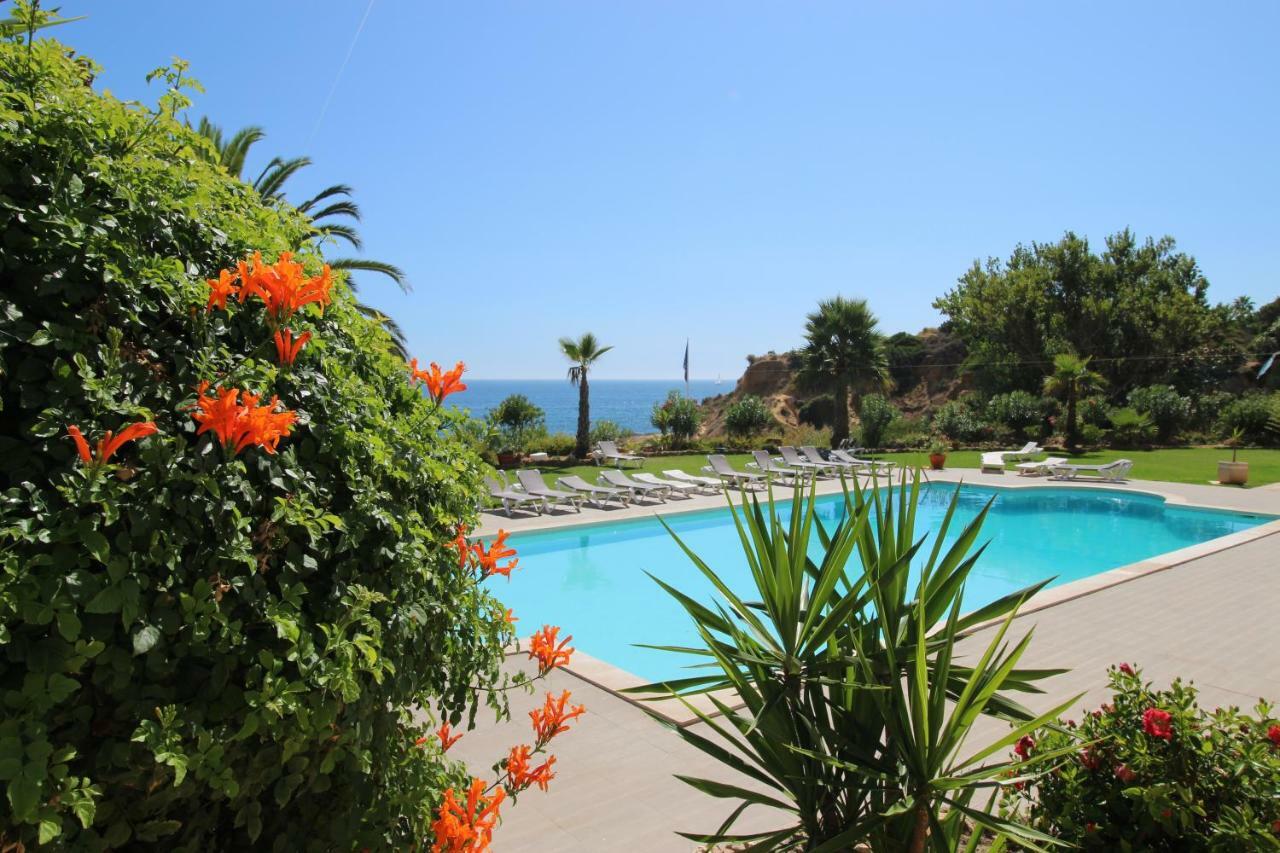 Magnifique Appartement Sur La Plage ... 阿尔布费拉 外观 照片